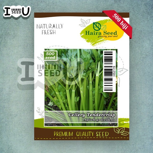 Bibit-Biji Seledry Tendercrisp (Haira Seed)