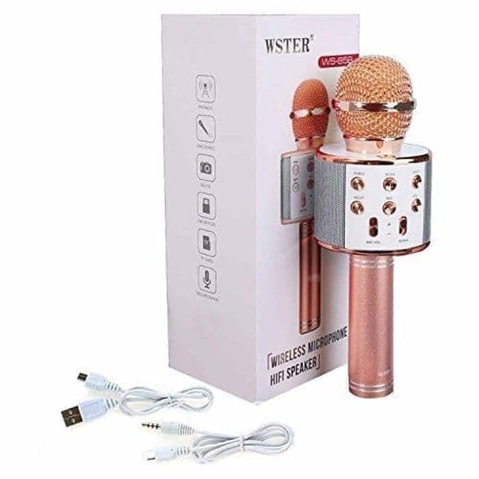 Speaker Mic Bluetooth Karoke KTV Type WSTER WS 858