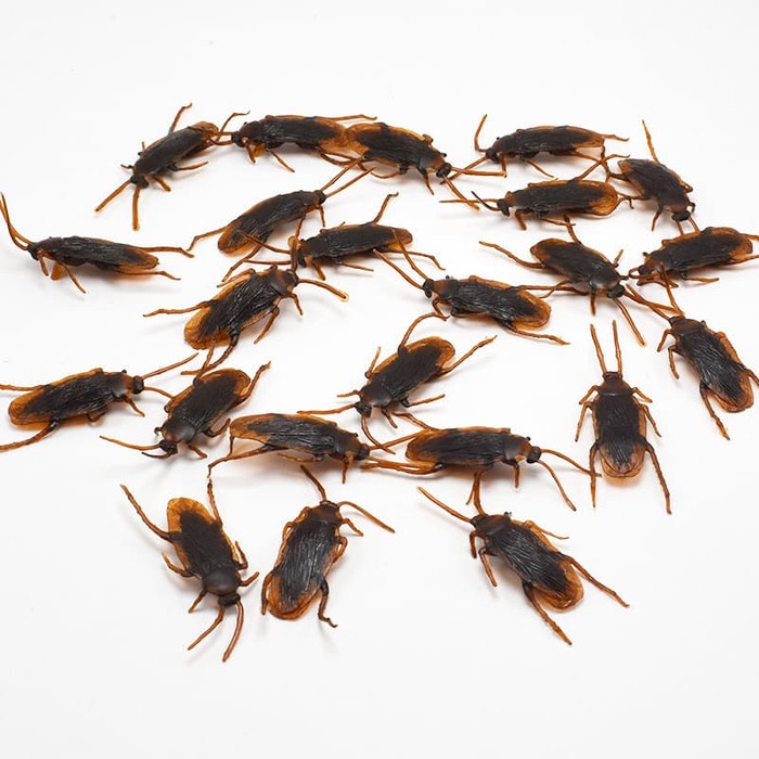 10Pcs/lot simulation fake rubber cockroach  funny toy special lifelike model  X