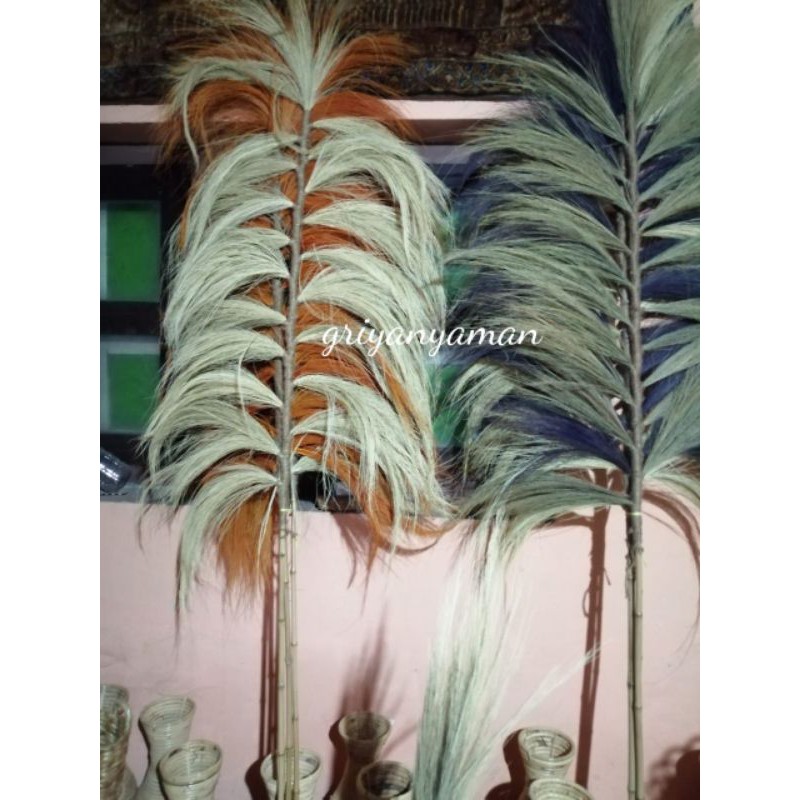 Rayung 2 meter / Rayung Stick / Daun kering Dekorasi