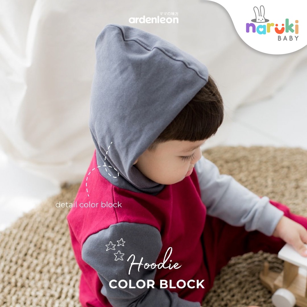 Arden Leon Unisex Color Block Hoodie Kids Ardenleon Jaket Anak-anak