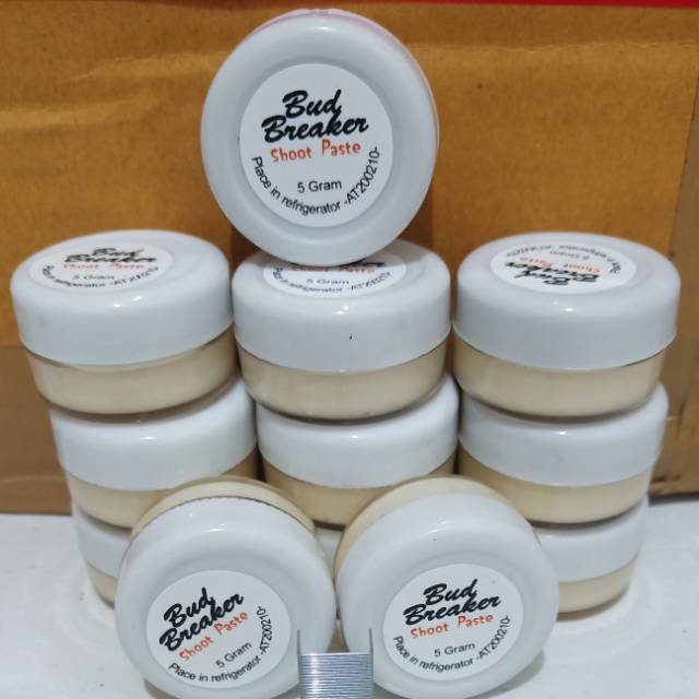 salep anggrek bud breaker 5 gram