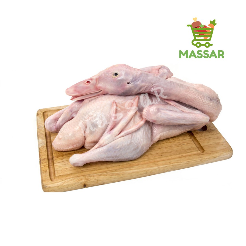 

BEBEK LOKAL 1 EKOR