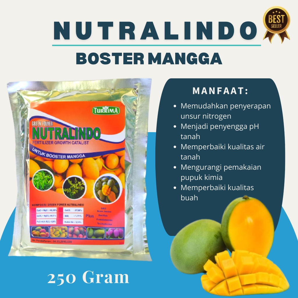Pupuk mangga agar berbuah lebat, pupuk mangga booster, Pupuk Nutralindo khusus pohon mangga