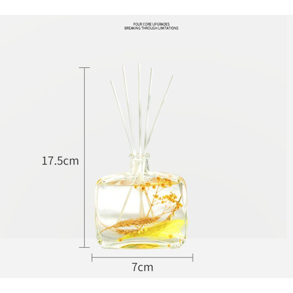 PROMO Pengharum Ruangan Besar Aromaterapi Reed Diffuser 100ml