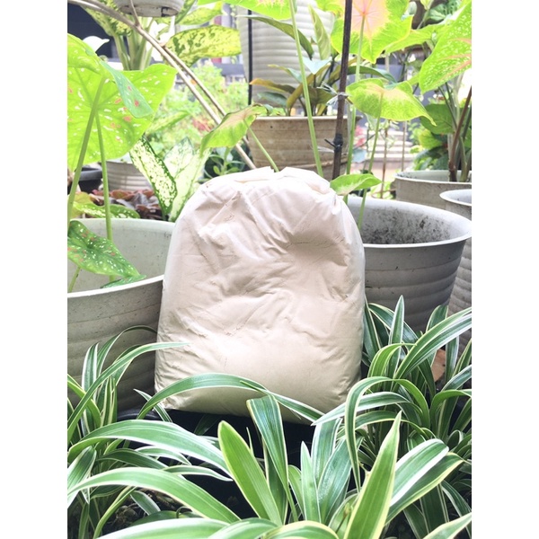 Dolomit 1kg Kapur Pertanian