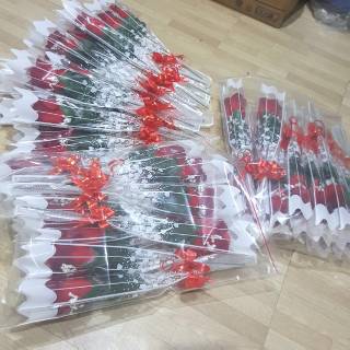 Bunga Mawar Beludru Plastik Merah Putih Valentine Rose ...