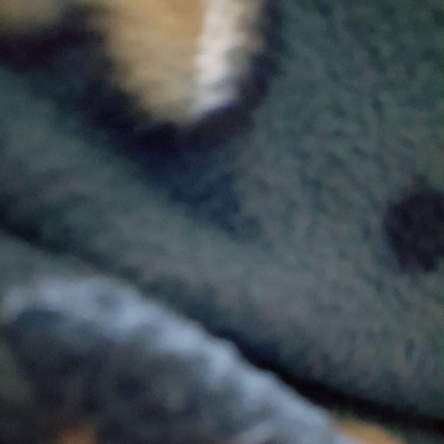 Babydoll/kulot Batik Vivilia