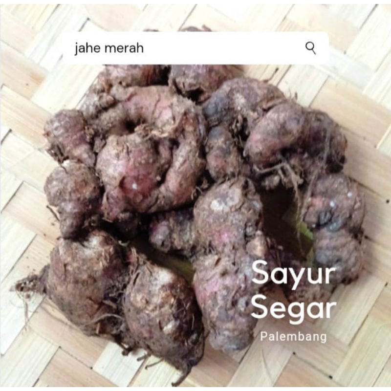 

Jahe Merah Per 250 Gr Sayur Segar Palembang