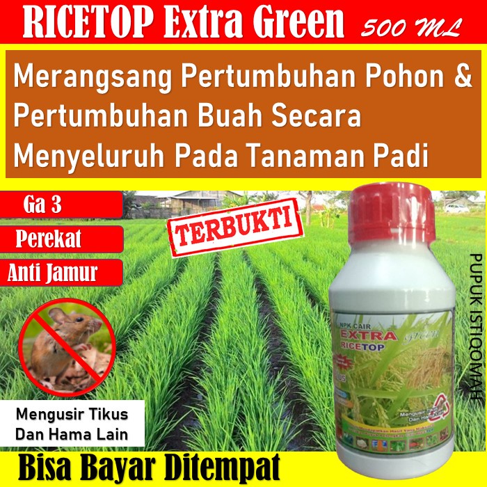 Ricetop extra Green Pupuk NPK Cair Pelebat Padi + Tidak Disukai Tikus - Pupuk Penyubur Tanah & Padi 