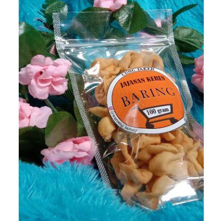 

Baring (Batagor Garing)