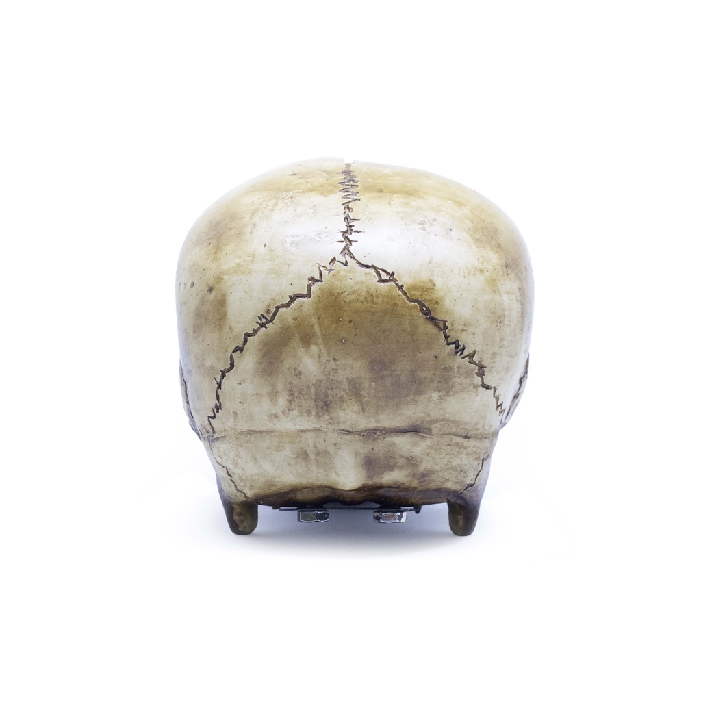 Heretic - Money Bank / Celengan - Tengkorak - Pentagram Skull