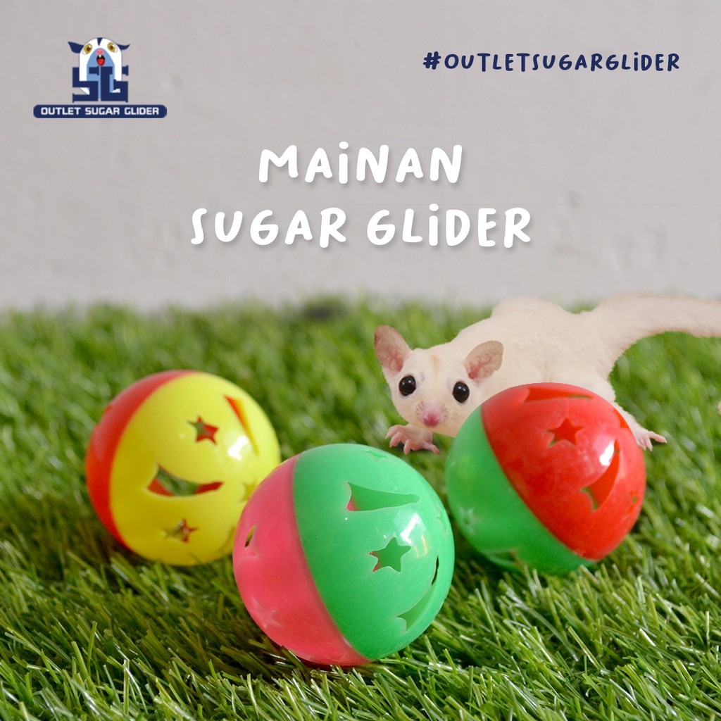 MAINAN BOLA SUGAR GLIDER