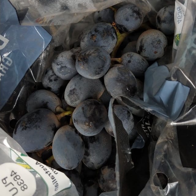 Anggur Hitam Tanpa Biji / Auntum Australia