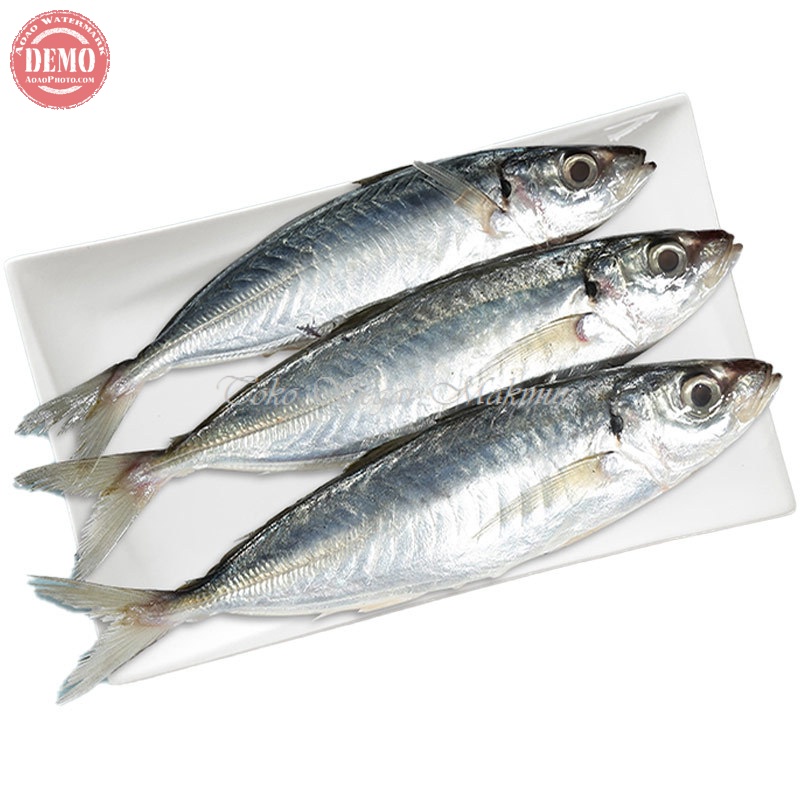 

Ikan Layang Segar Ikan Layang Jumbo 1Kg Ikan Laut Segar