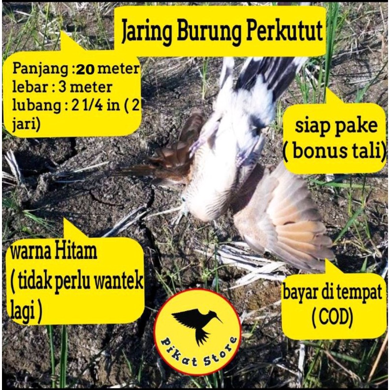 JARING BURUNG PERKUTUT (panjang 10m, lebar2,5m)