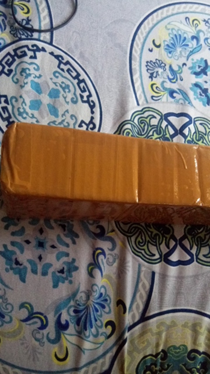 Janda Bolong Tanaman Hias Janda Bolong Bibit Monstera Obliqua Janda Bolong Murah