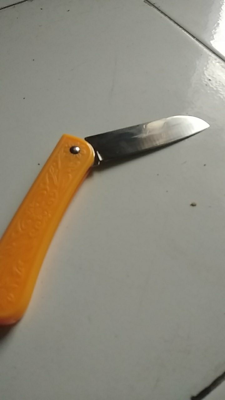 Pisau Lipat Pisau Serbaguna /pisau Mini Bentuk Kartu Sinclair