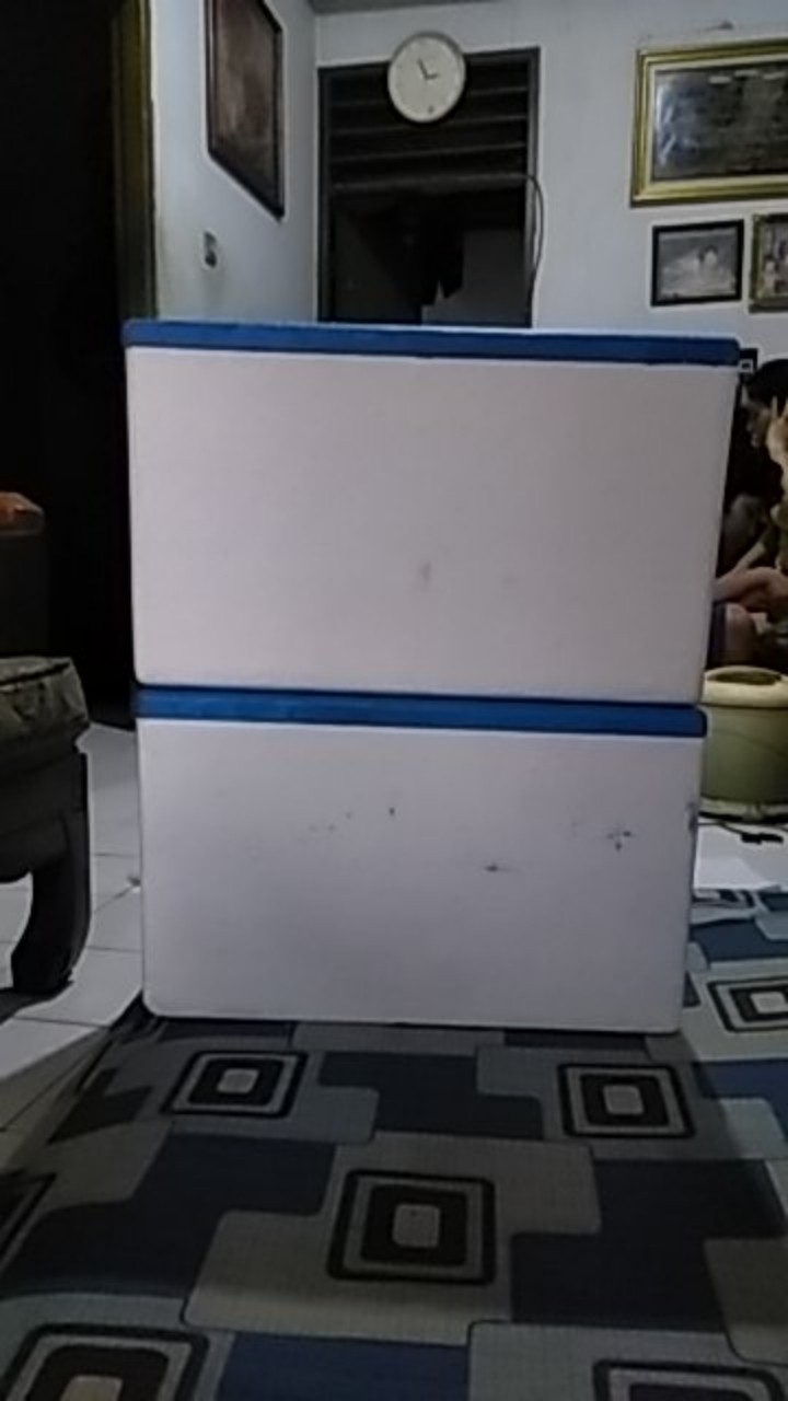 Styrofoam Box Benur 15kg
