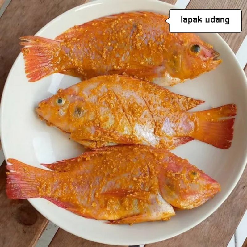 

1kg ikan mujaer Nila bumbu kuning siap masak