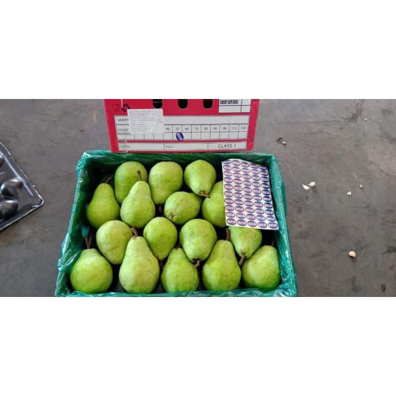 

Pear Pakam