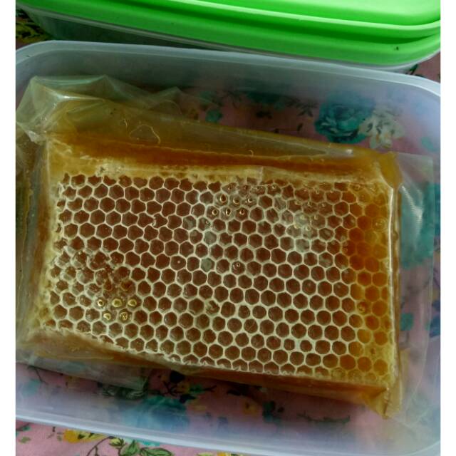 

Sarang madu murni melifera