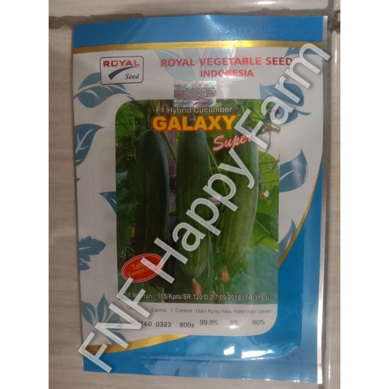 Benih Timun Galaxy Super F1 800 butir