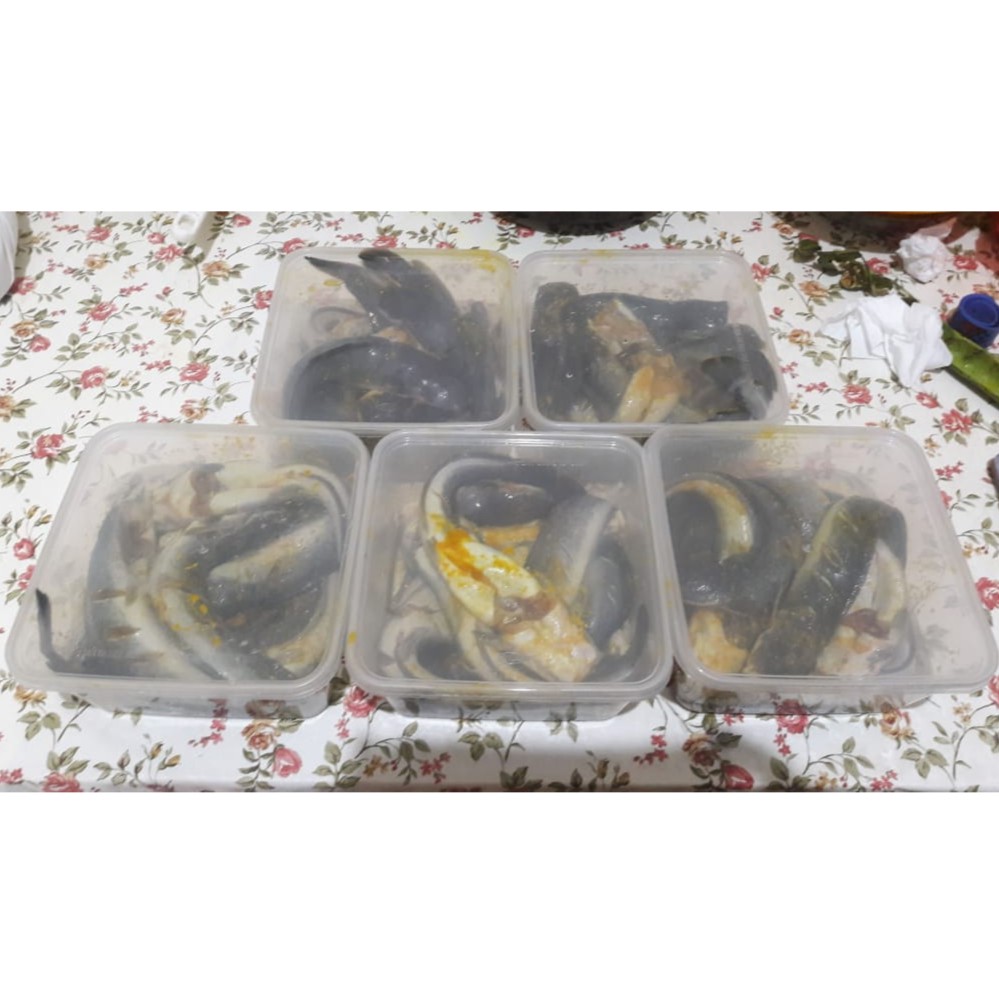 

Ikan lele bumbu siap goreng