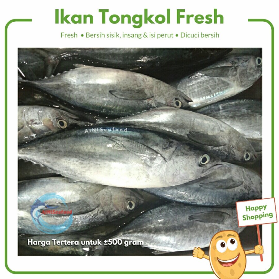 

Ikan Tongkol Laut Segar Fresh bersih - 300-400 gram