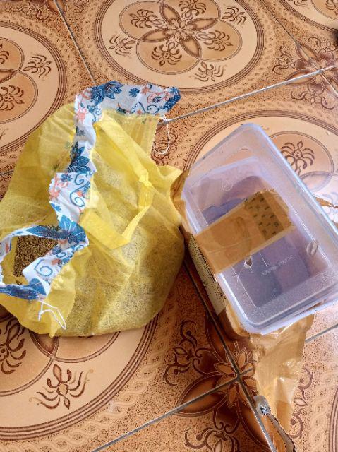 1kgtelur Jangkrik Alam