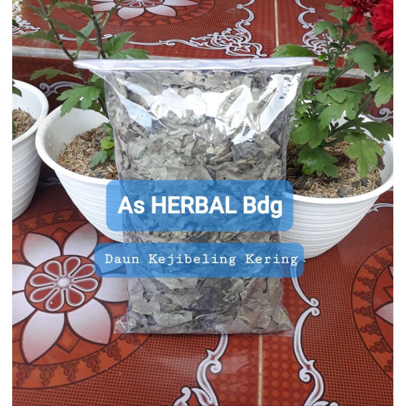 

Daun Keji beling atau pecah beling kering 100 gram-az
