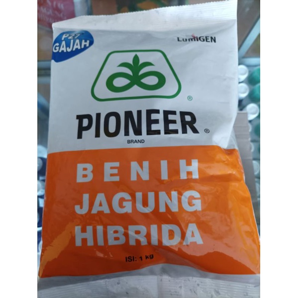 BENIH JAGUNG PIONEER P27 LUMIGEN / BENIH JAGUNG HIBRIDA P27 PIONEER 1KG 100% ORI
