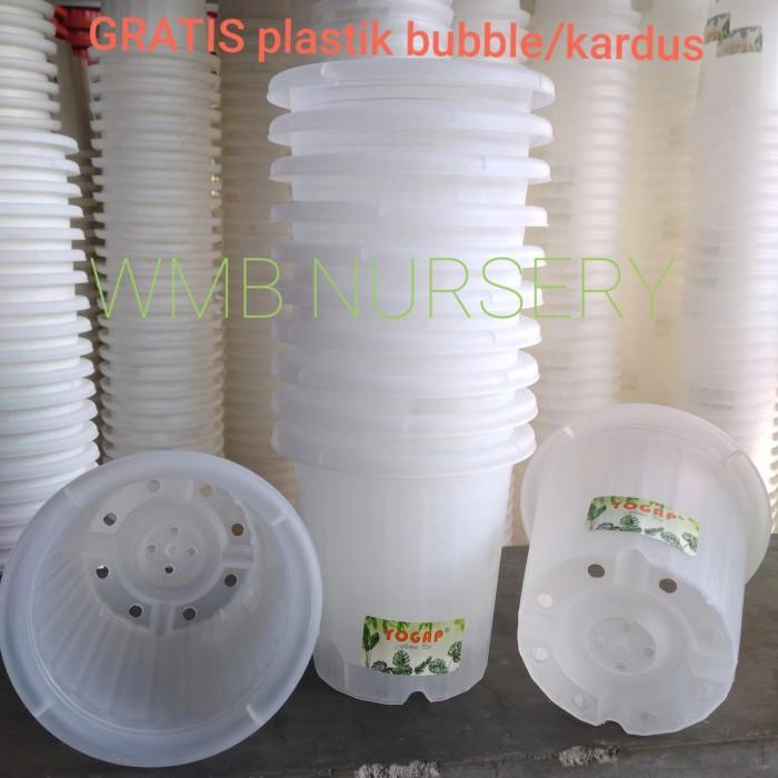 LUSINAN. Pot YOGAP YPT 10