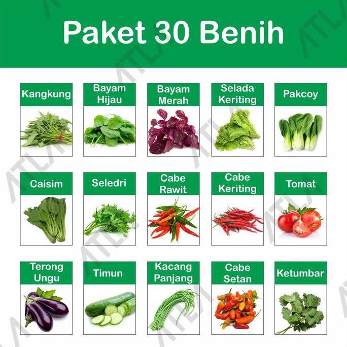 DROPSHIP OKE Paket 30 Benih Kebun Hidroponik Biji Bibit Jenis Sayur Sayuran Lengkap