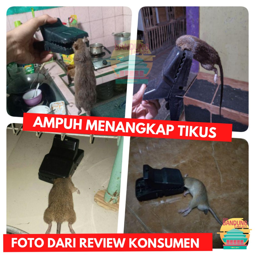 Canggih Ampuh Ori Perangkap Tikus Jebakan Penjepit Jepitan Penjebak Praktis Cod Murah Bandung Shopee Indonesia