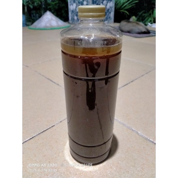 POC Urine Kelinci 1 liter