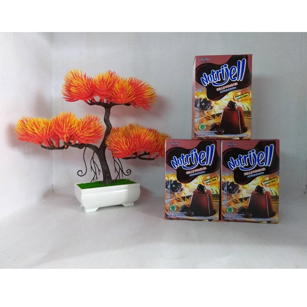 

READY STOCK Nutrijell Agar Kurma Ajwa 10gr 1 Box Agar-Agar Nutrijel Varian Buah Kurma Jelly Powder Kemasan Ekonomis 3594 ➫