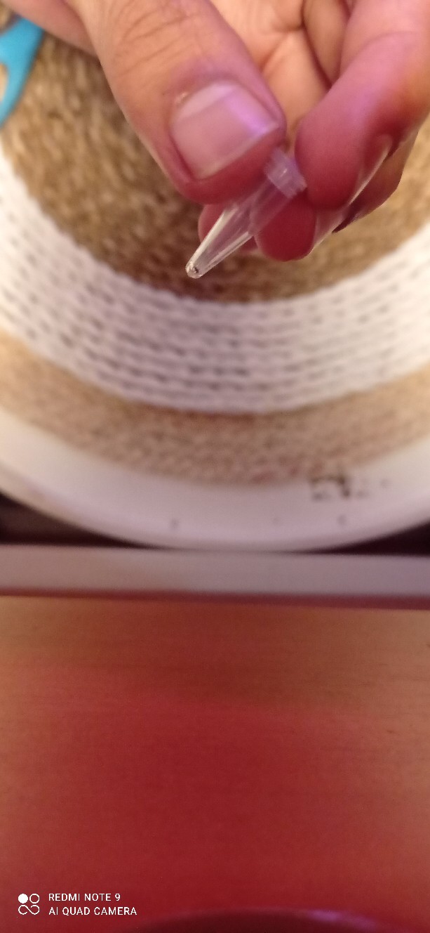 Biji / Benih / Seed Tanaman Karnivora Venus Flytrap