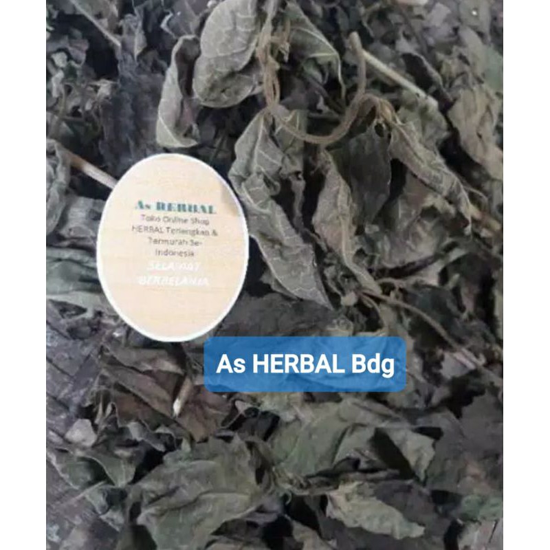 

Daun Kirinyuh Kopasanda atau Marenggo Kering 1 Kg-az