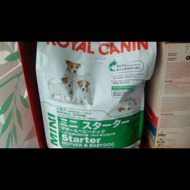 Dog food royak canin mini stater 3kg