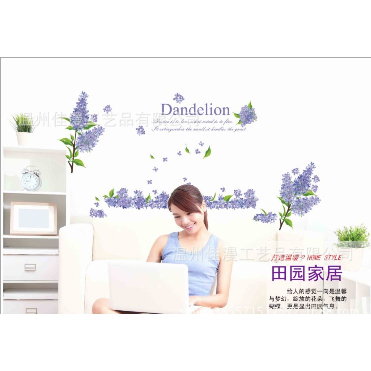 Dinding Stiker Transparan / Wall Sticker / (60x90cm) B17 TKM