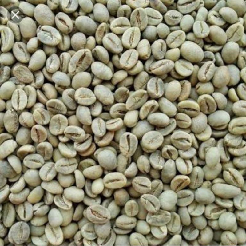 

Biji kopi luwak liar roasting 500g
