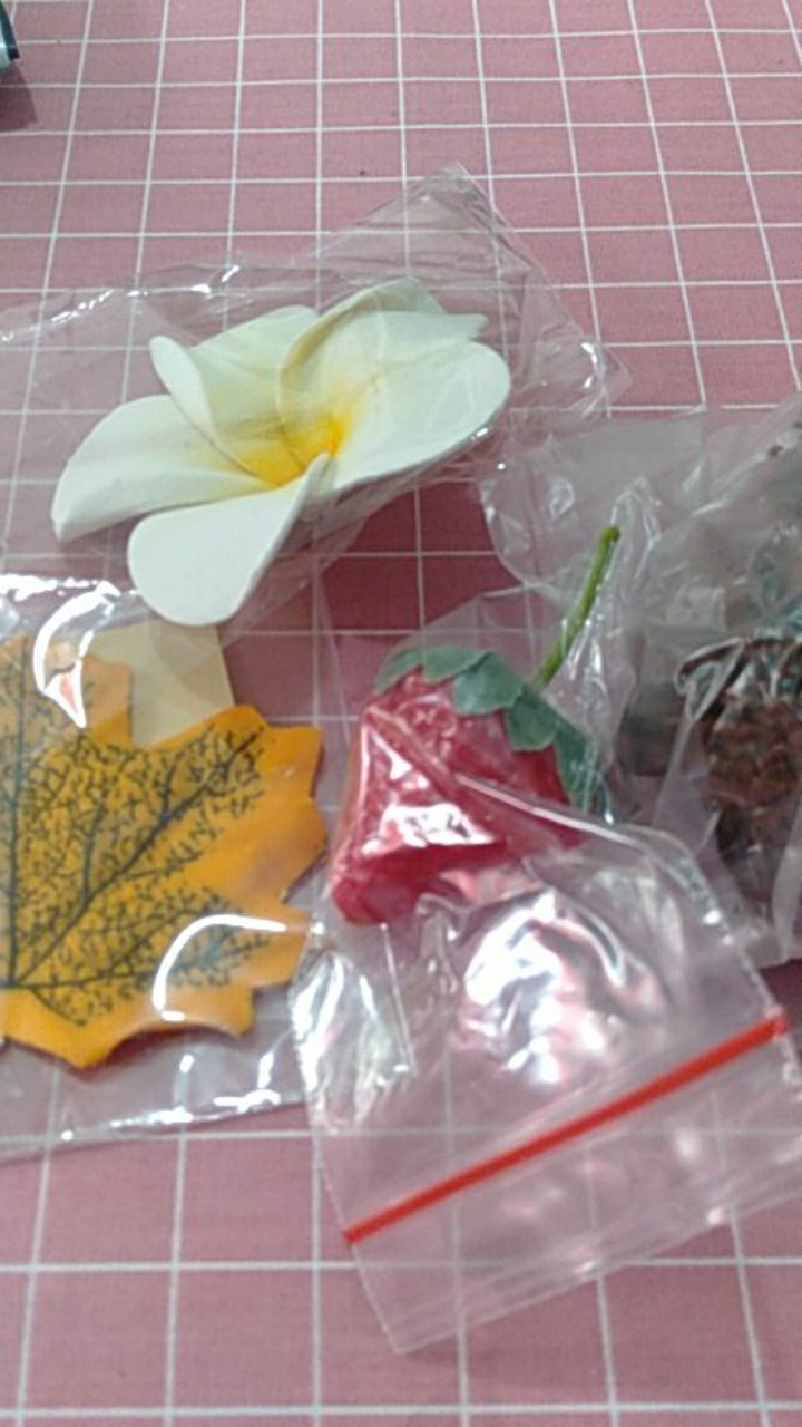 Pinecone / Pinus Kecil