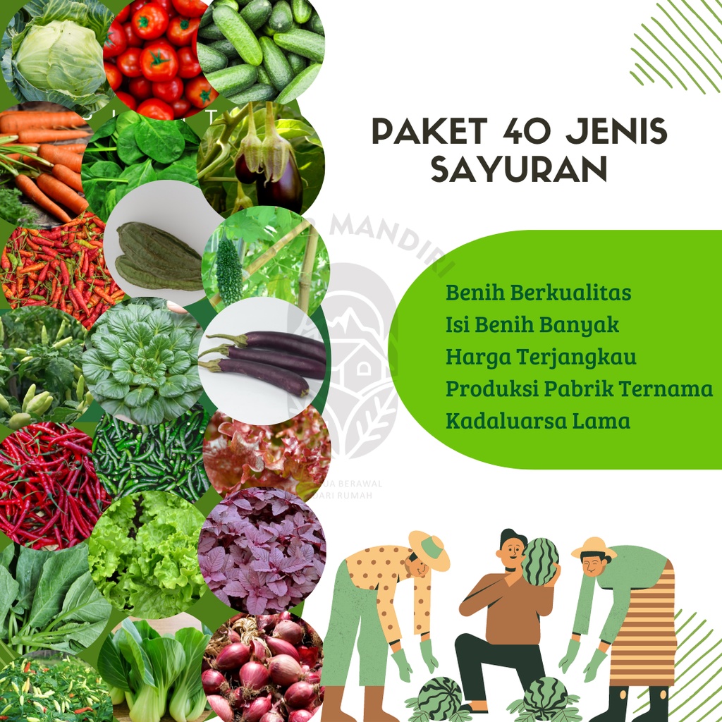 Paket Berkebun Lengkap 40 Benih Sayuran