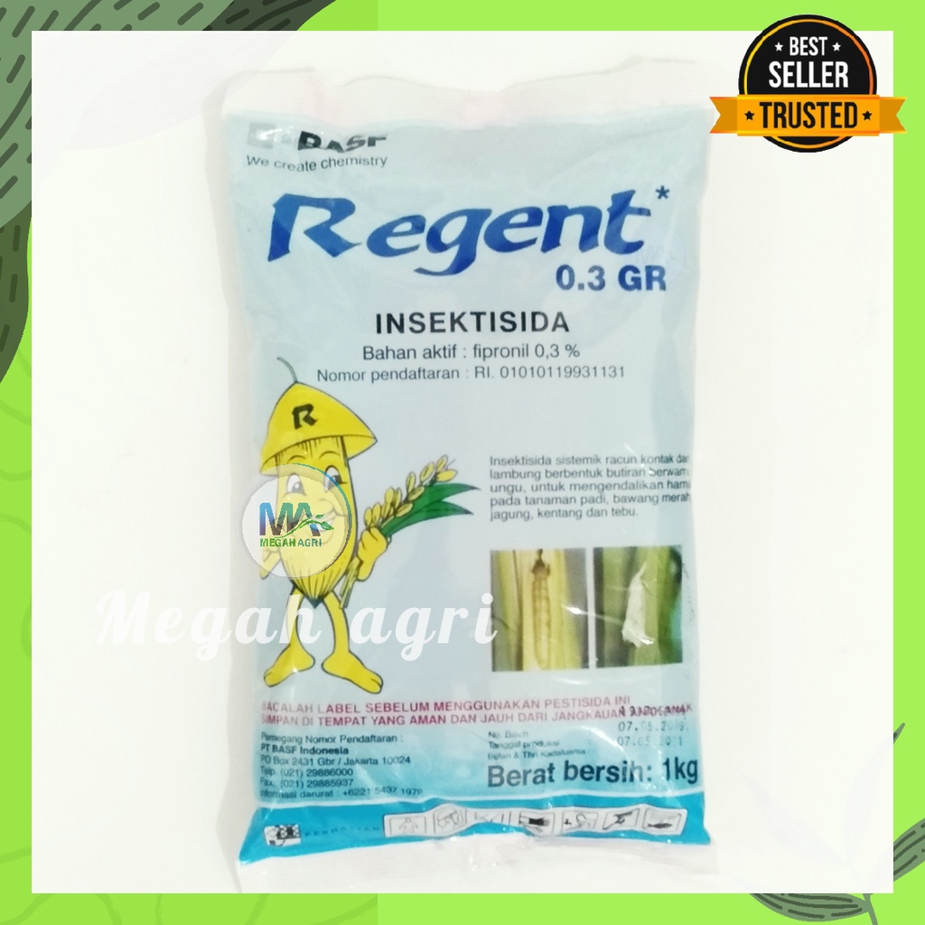 INSEKTISIDA REGENT 1KG FIPRONIL