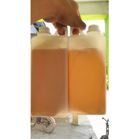 

Madu Hutan Kalimantan Madu Apis Dorsata madu manyik madu tualang 1 kg