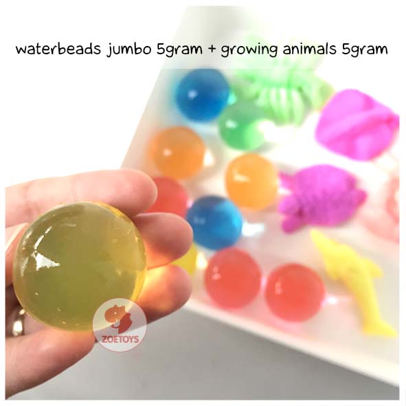 Zoetoys Waterbeads high quality / growing animal / hewan hydrogel orbeez / water beads | edutoys | sensory toys