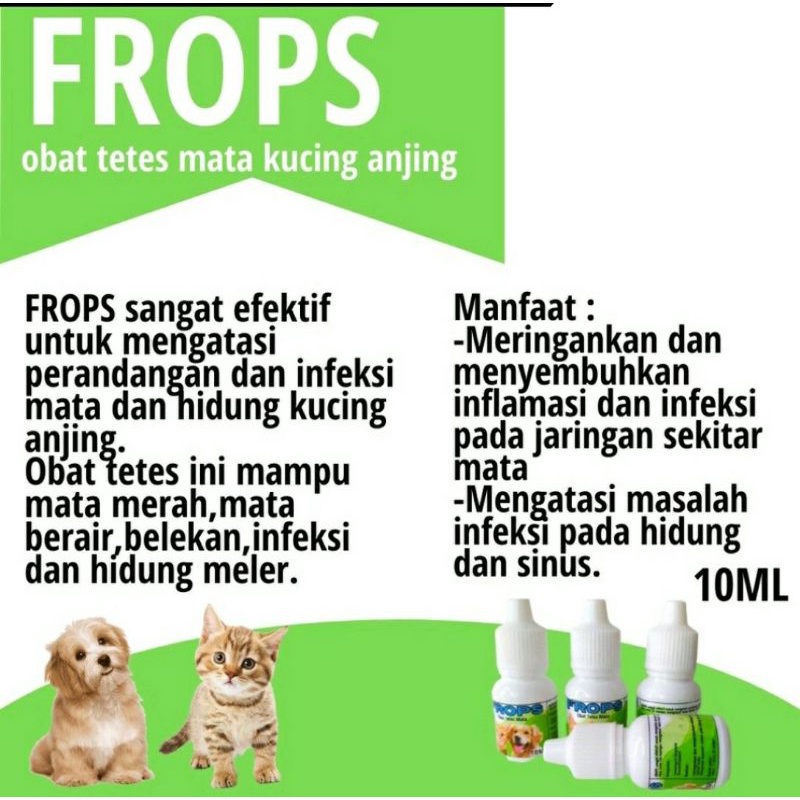 Obat Tetes Mata Dan Hidung Kucing Anjing FROPS