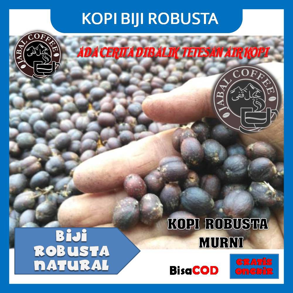 BIJI ROBUSTA NATURAL BEAN KOPI TEMANGGUNG