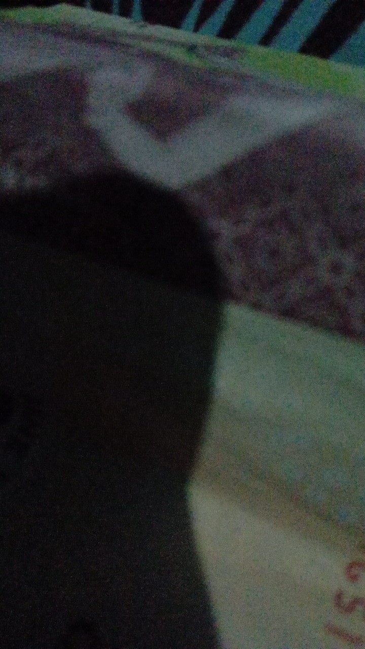 Atasan Batik Wanita Modern Dolby Dolbi Dobby Dobi Batik Casual Atasan Batik Wanita Terbaru